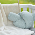 Muslin mint dandelion clocks