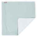 Muslin mint dandelions